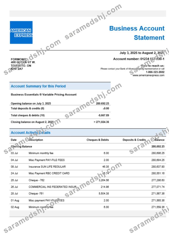 American Express Air Miles enterprise account statement Word and PDF template
